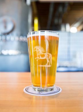 Downtown Durham NC Ponysaurus Brewing Company